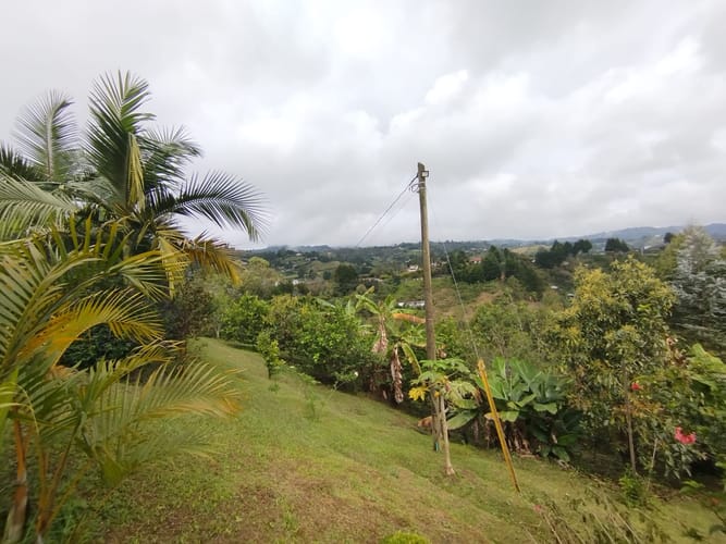 Finca en arriendo en Guarne, 287 m² · foto 6 de 20