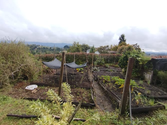Finca en arriendo en Guarne, 287 m² · foto 12 de 20