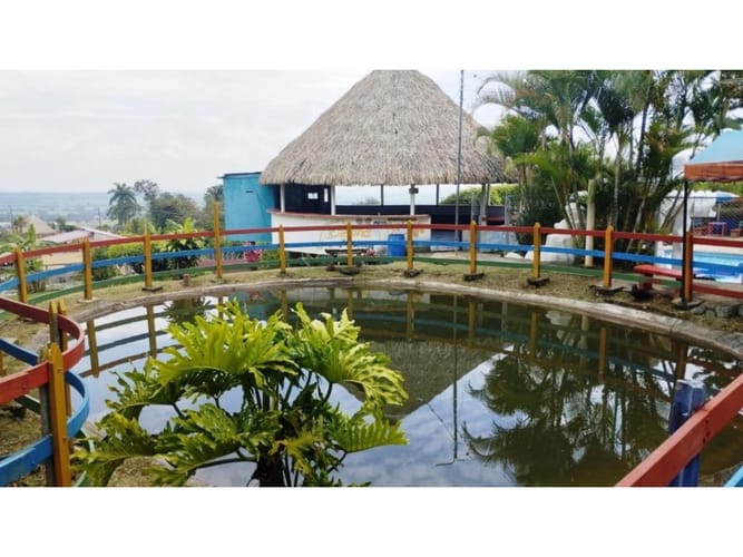 Finca en venta en El Pomo, Palmira, 1100 m² · foto 3 de 24
