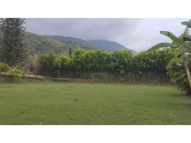 Finca en venta en El Pomo, Palmira, 1100 m² · foto 19 de 24
