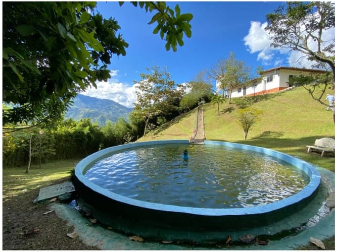 Finca en venta en Guarne, 715 m² · foto 5 de 13