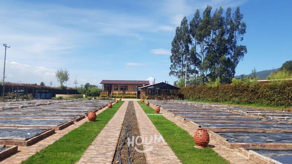 Casa en venta en Las Nieves, Bogotá · foto 3 de 12