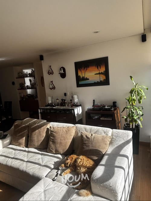 Apartamento de 3 alcobas en venta en Cedritos, Bogotá, 98 m² · foto 4 de 24
