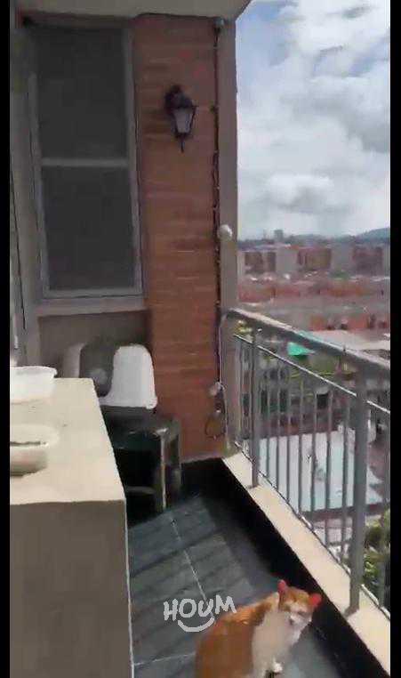 Apartamento en venta en Conjunto Residencial Reservas De Mallorca, Mosquera · foto 15 de 24
