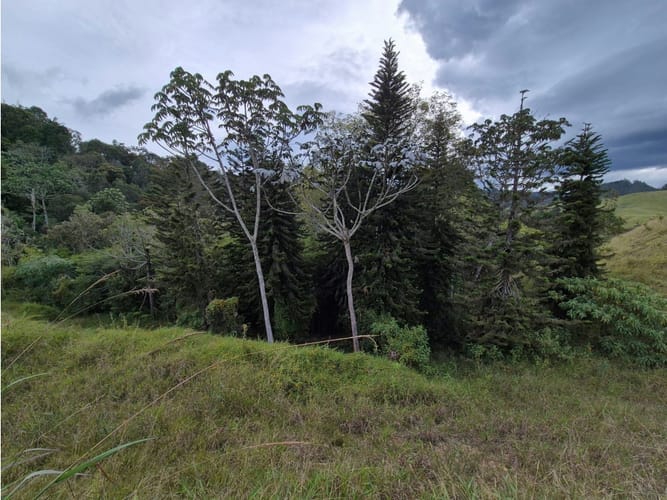 Lote en venta en Pantanillo, El Retiro, 2120 m² · foto 7 de 24