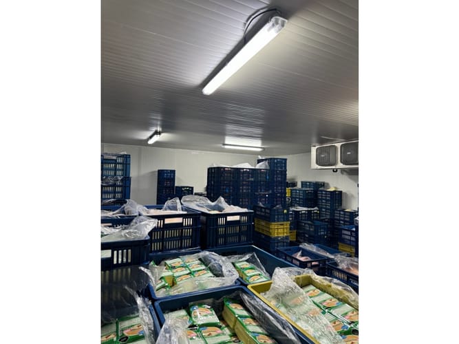 Bodega en venta en La Flora, Cali, 849 m² · foto 4 de 16