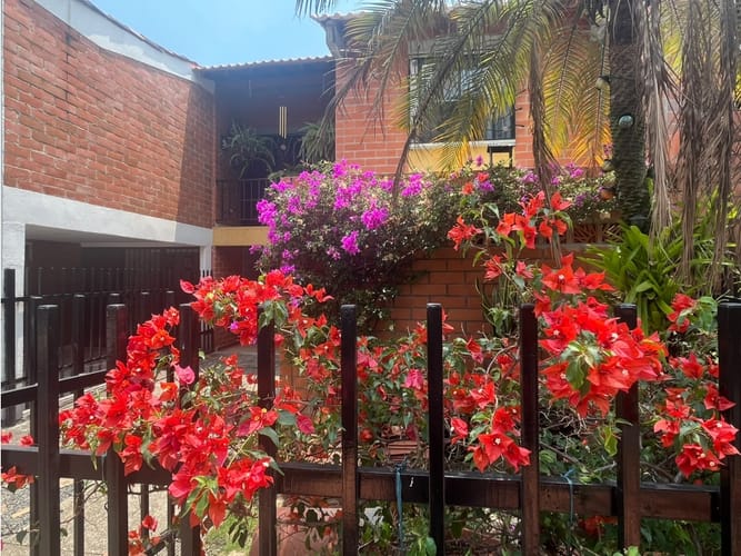 Casa de 3 alcobas en venta en Valle Del Lili, Cali, 220 m² · foto 3 de 24