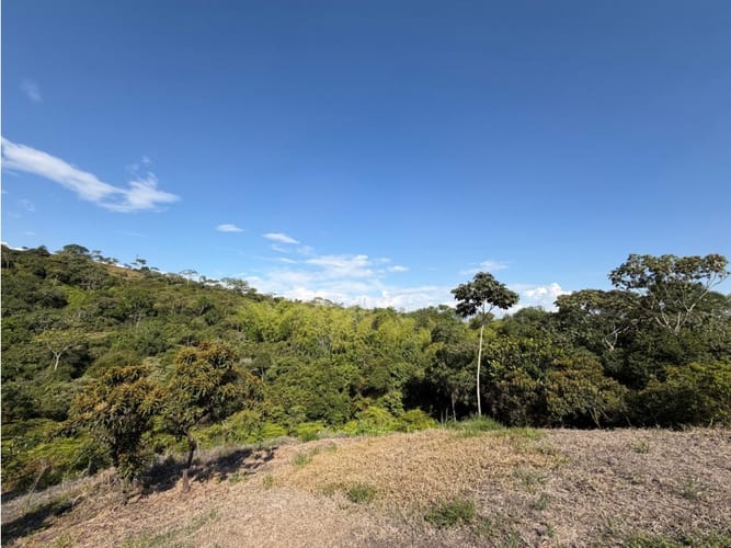 Lote en venta en Pance, Cali, 9270 m² · foto 3 de 20