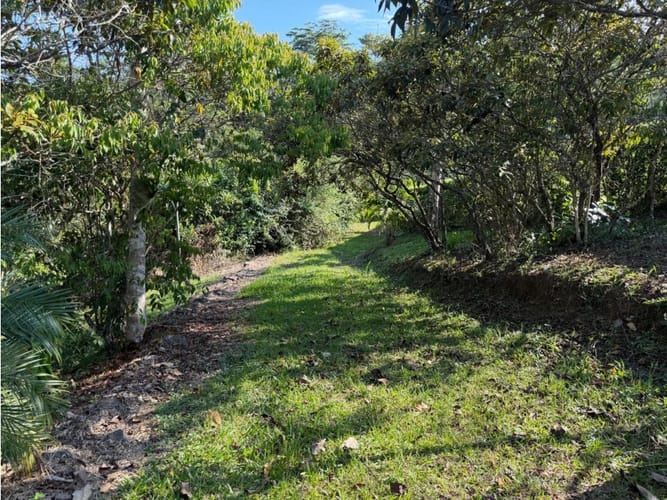 Lote en venta en Pance, Cali, 9270 m² · foto 4 de 20