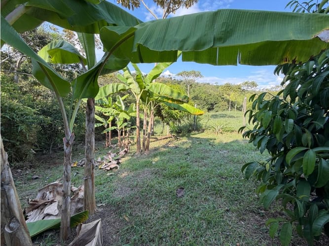 Lote en venta en Pance, Cali, 9270 m² · foto 6 de 20