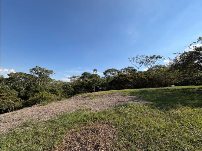 Lote en venta en Pance, Cali, 9270 m² · foto 8 de 20