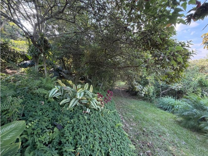 Lote en venta en Pance, Cali, 9270 m² · foto 12 de 20