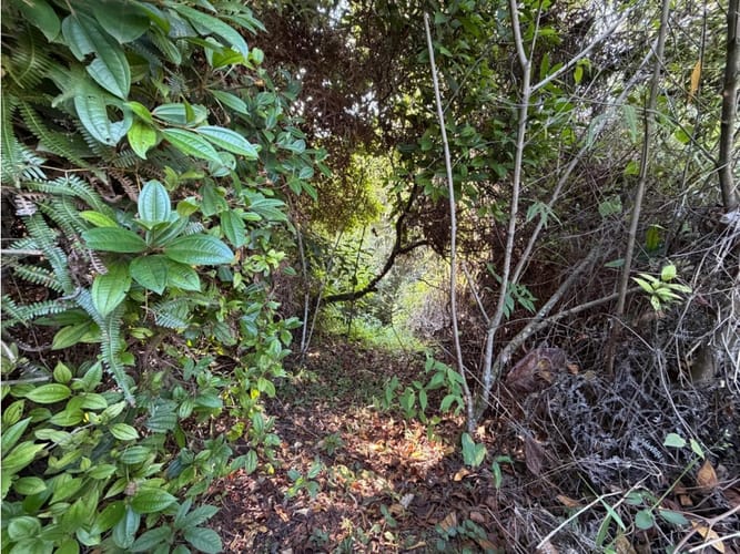 Lote en venta en Pance, Cali, 9270 m² · foto 14 de 20