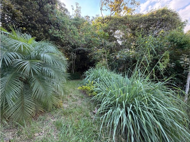 Lote en venta en Pance, Cali, 9270 m² · foto 16 de 20