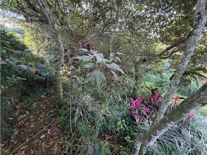 Lote en venta en Pance, Cali, 9270 m² · foto 18 de 20