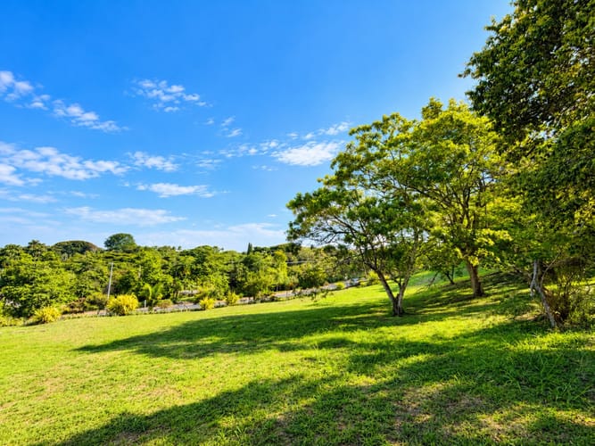 Lote en venta en Pance, Cali · foto 6 de 9