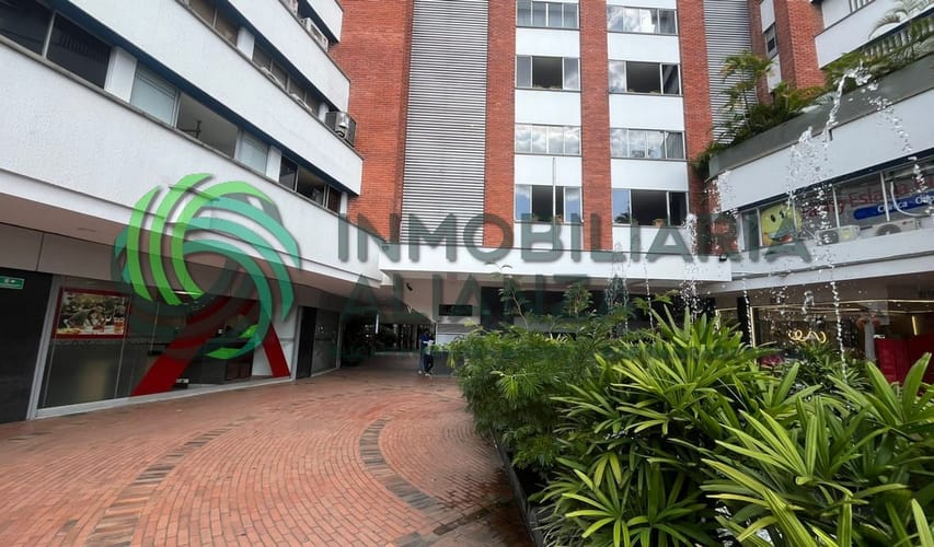 Oficina en arriendo en Cabecera Del Llano, Bucaramanga, 40 m² · foto 13 de 14