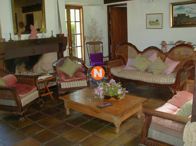 Foto 3 de 30