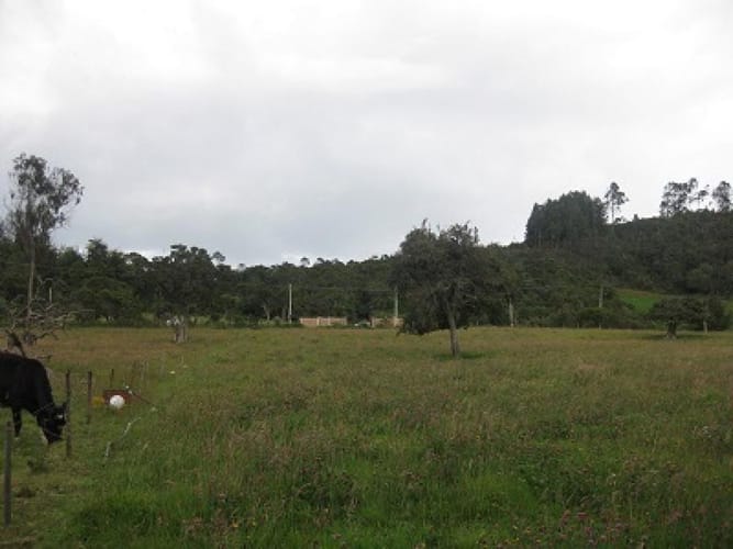 Lote en venta en Yerbabuena, Chía, 23749 m² · foto 2 de 10