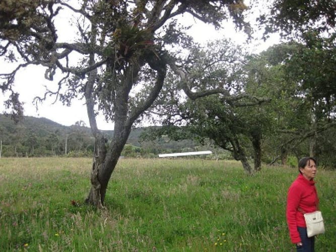 Lote en venta en Yerbabuena, Chía, 23749 m² · foto 7 de 10