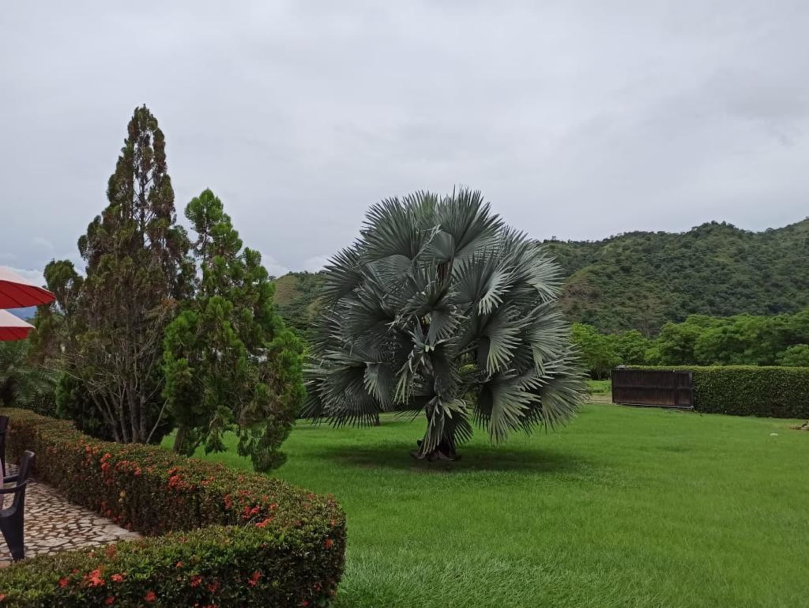5BR Country House in Obregon (400 m²) for Sale - 3