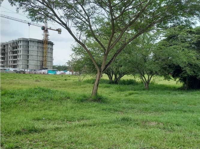 Lote en venta en Bochalema, Cali, 12000 m² · foto 2 de 16