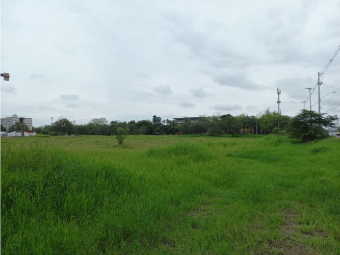 Lote en venta en Bochalema, Cali, 12000 m² · foto 4 de 16
