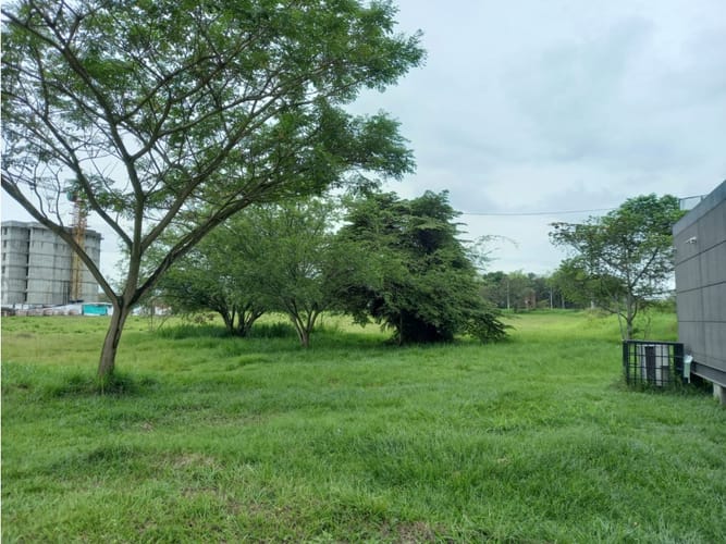 Lote en venta en Bochalema, Cali, 12000 m² · foto 11 de 16