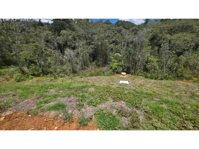 Lote en venta en Las Palmas, Envigado, 244 m² · foto 8 de 11