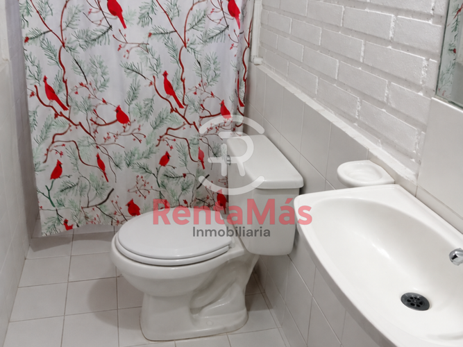 Casa de 3 alcobas en arriendo en Co. Altos Del Tamarindo, Villa del Rosario, 98 m² · foto 7 de 14