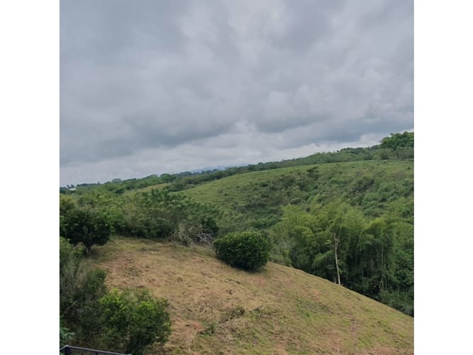 Lote en venta en Cerritos, Pereira, 2004 m² · foto 6 de 15