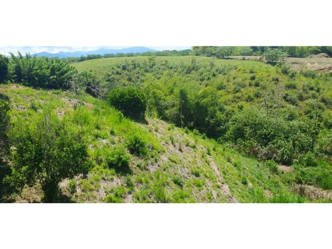 Lote en venta en Cerritos, Pereira, 2004 m² · foto 7 de 15