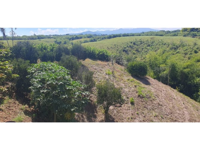 Lote en venta en Cerritos, Pereira, 2004 m² · foto 11 de 15
