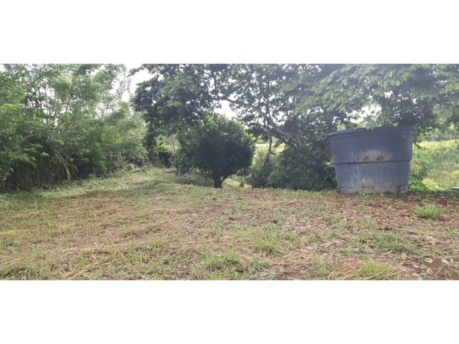 Lote en venta en Cerritos, Pereira, 2004 m² · foto 14 de 15