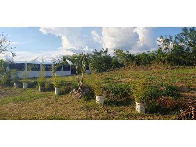 Lote en venta en Cerritos, Pereira, 2004 m² · foto 15 de 15