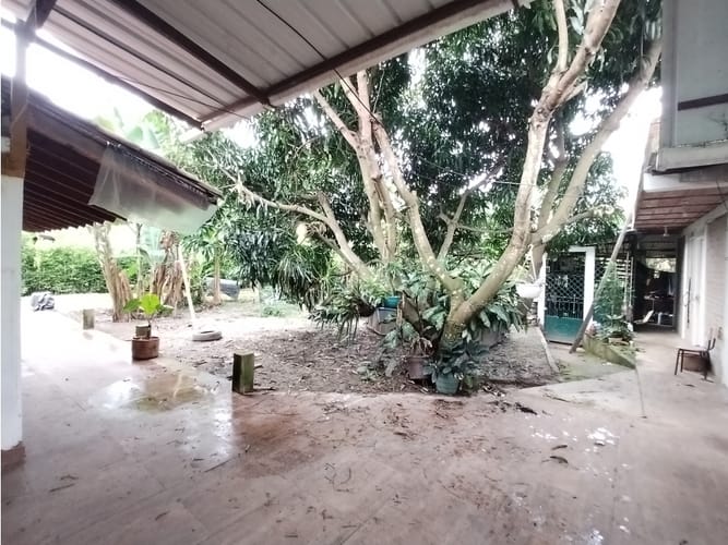 Finca en venta en Bolo San Isidro, Palmira, 218 m² · foto 17 de 24