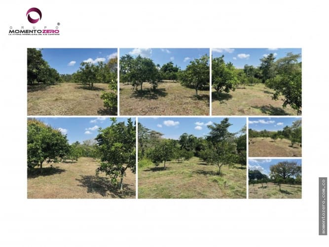 Lote en venta en Cerritos, Pereira, 180 m² · foto 10 de 16