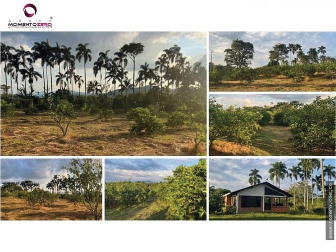 Lote en venta en Cerritos, Pereira, 180 m² · foto 11 de 16