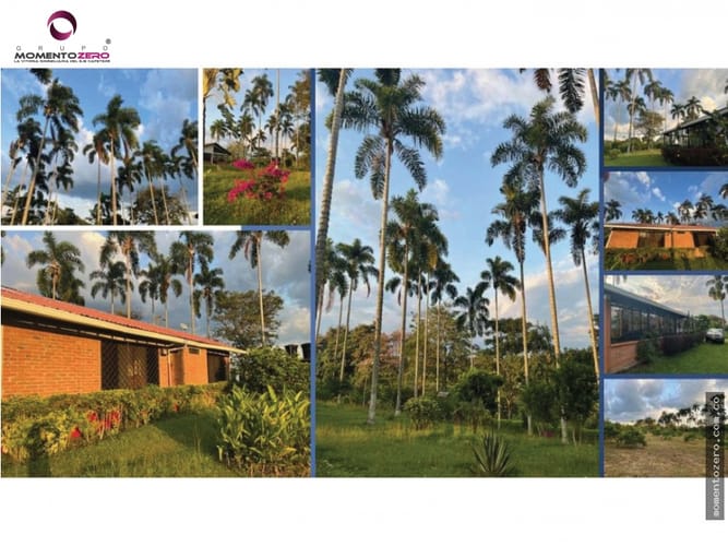 Lote en venta en Cerritos, Pereira, 180 m² · foto 12 de 16