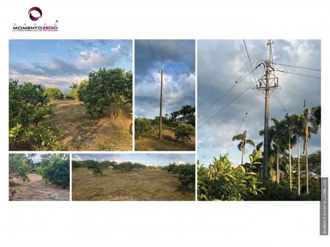 Lote en venta en Cerritos, Pereira, 180 m² · foto 13 de 16