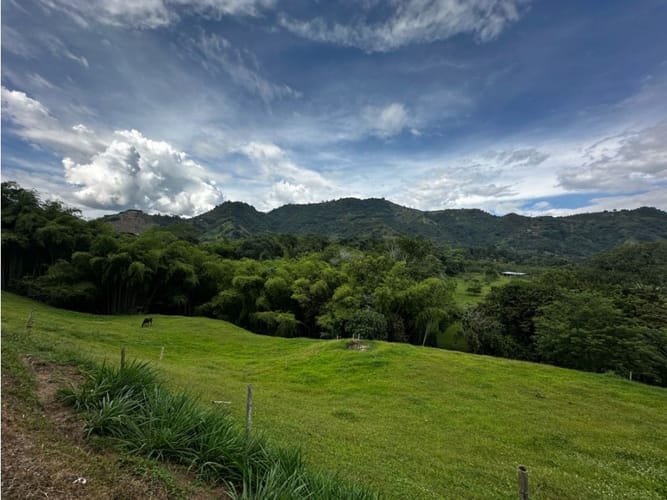 Finca en venta en Combia, Pereira, 250 m² · foto 11 de 24