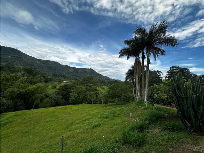 Finca en venta en Combia, Pereira, 250 m² · foto 12 de 24