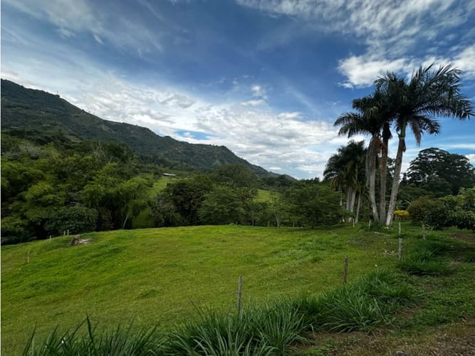 Finca en venta en Combia, Pereira, 250 m² · foto 13 de 24