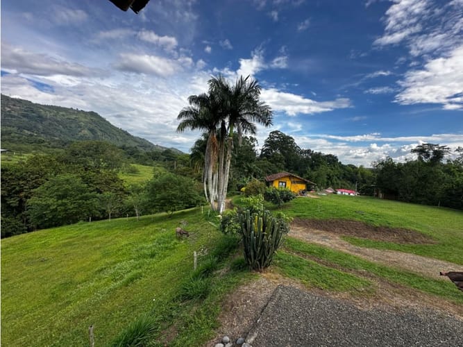 Finca en venta en Combia, Pereira, 250 m² · foto 22 de 24