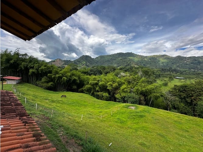 Finca en venta en Combia, Pereira, 250 m² · foto 23 de 24