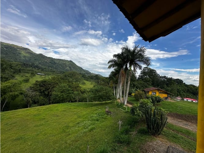 Finca en venta en Combia, Pereira, 250 m² · foto 24 de 24