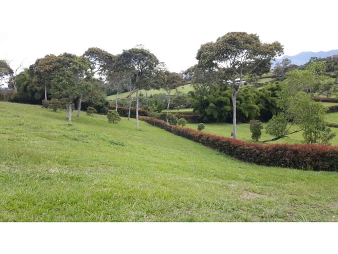 Lote en venta en Llano Grande, Rionegro, 2500 m² · foto 2 de 12