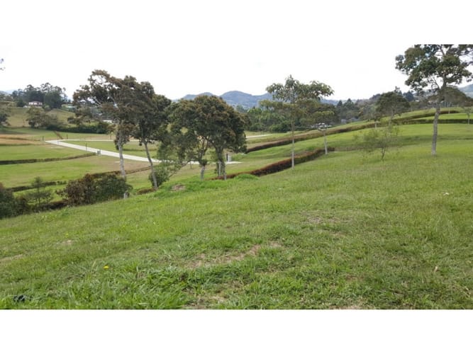 Lote en venta en Llano Grande, Rionegro, 2500 m² · foto 5 de 12