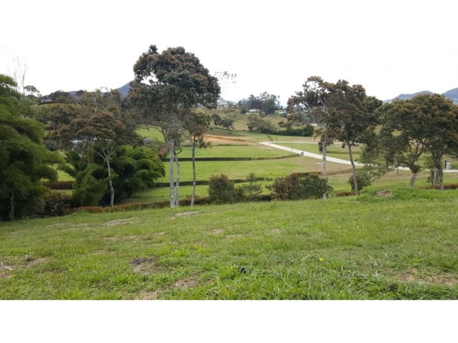 Lote en venta en Llano Grande, Rionegro, 2500 m² · foto 6 de 12