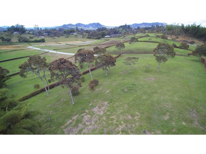 Lote en venta en Llano Grande, Rionegro, 2500 m² · foto 7 de 12